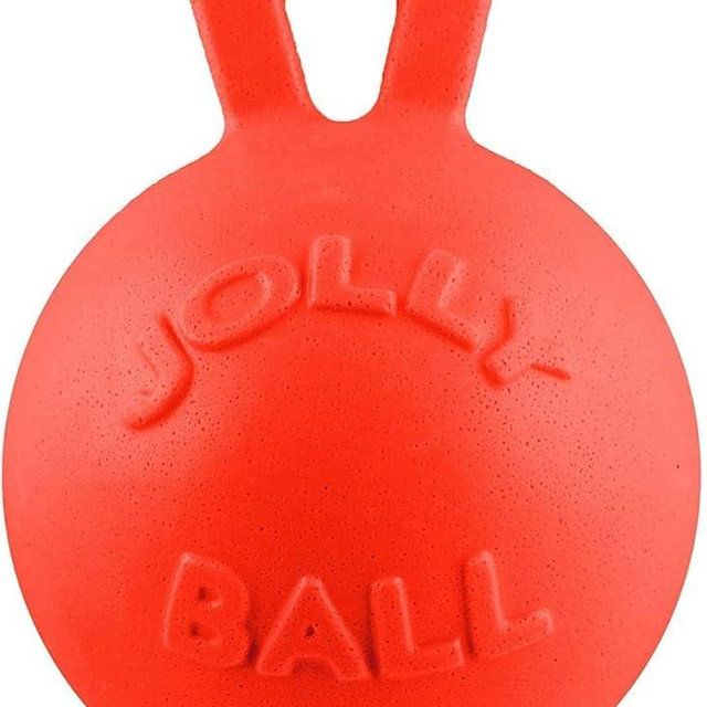 Jolly Pets Tug-n-Toss Heavy Duty Dog Toy Ball with Handle, 10 Inches/X-Large, Orange, Large Breeds