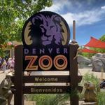 Denver Zoo