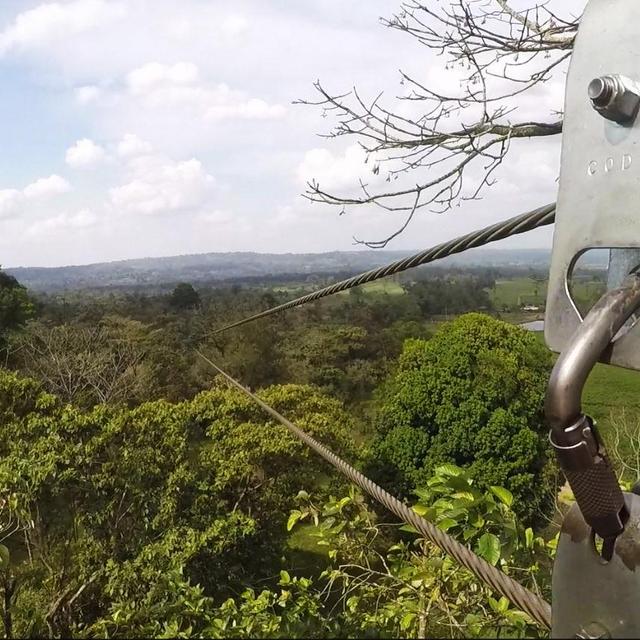 Honeymoon Zip Lining