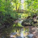 Botanical Gardens at Asheville