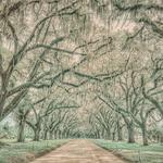 Wormsloe Historic Site