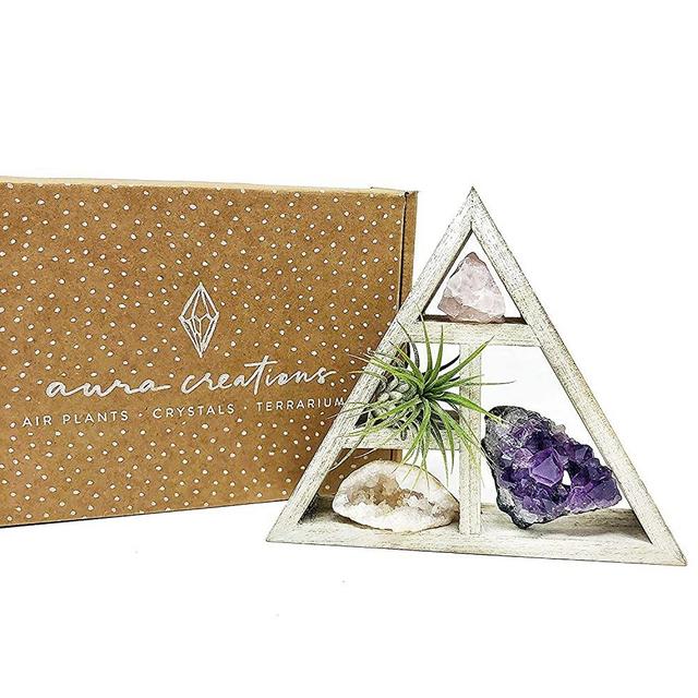 Tillandsia Air Plant and Purple Amethyst Crystal Healing Cluster/Terrarium Fairy Garden Stone + Kraft Gift Box