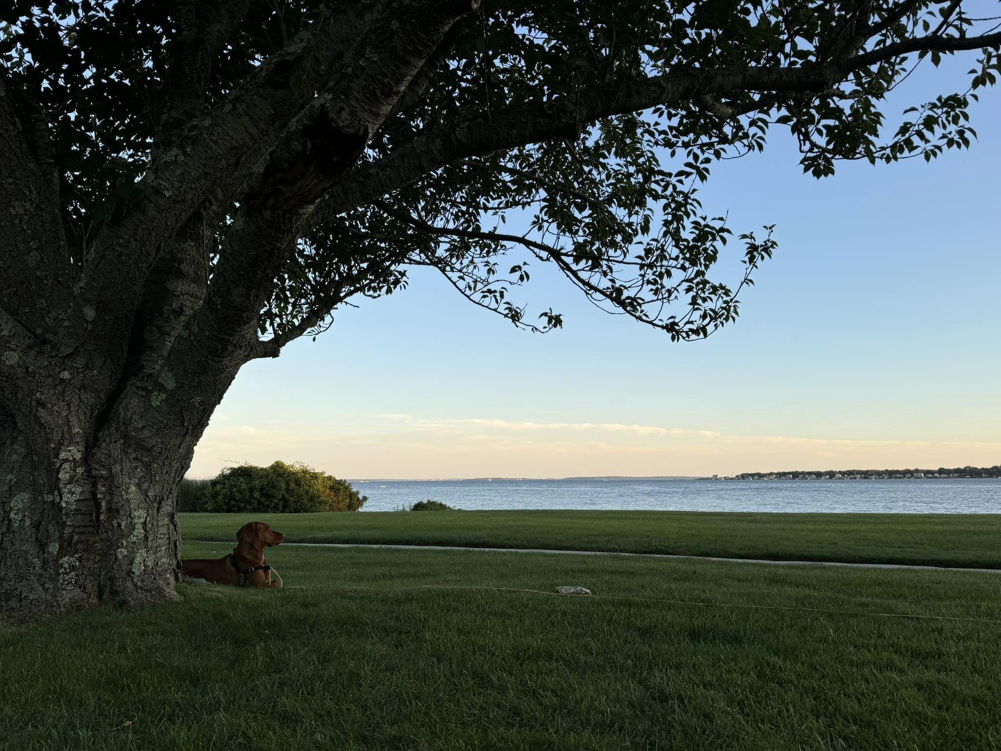 The Wedding Website of Maxwell Bowie and Jessica Libby