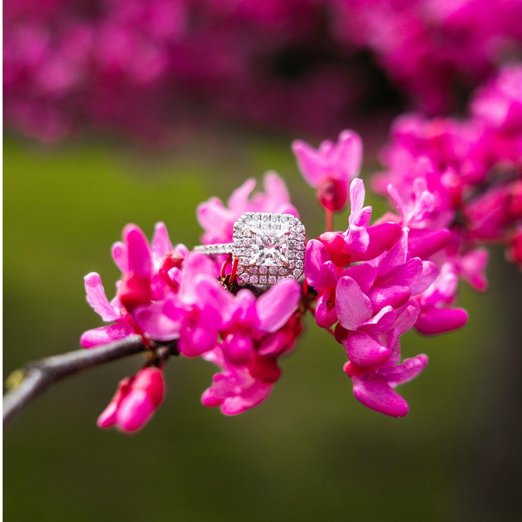Love is in bloom