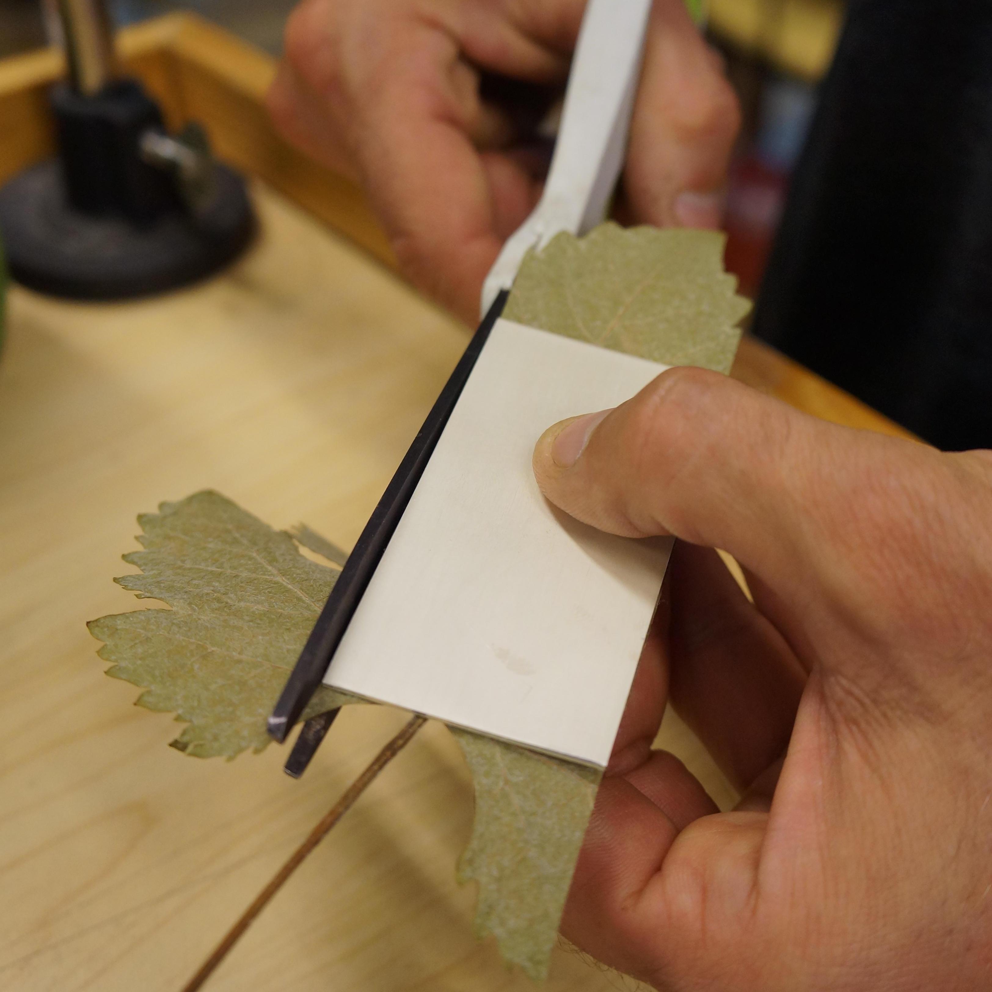 We dried grape leaves from PSC to imprint on our silver bands.