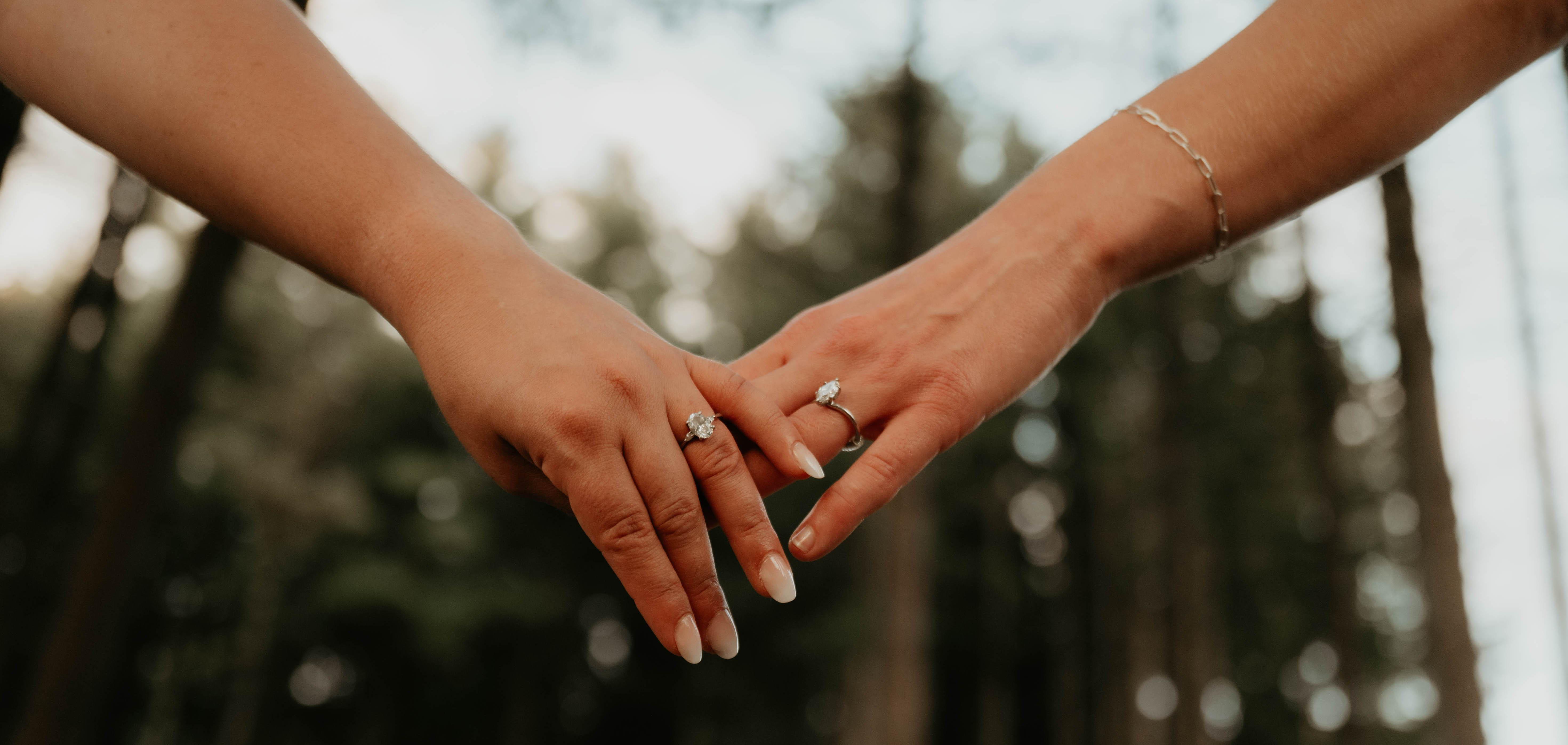 The Wedding Website of Angela Nappo and Lindsey Pleiness