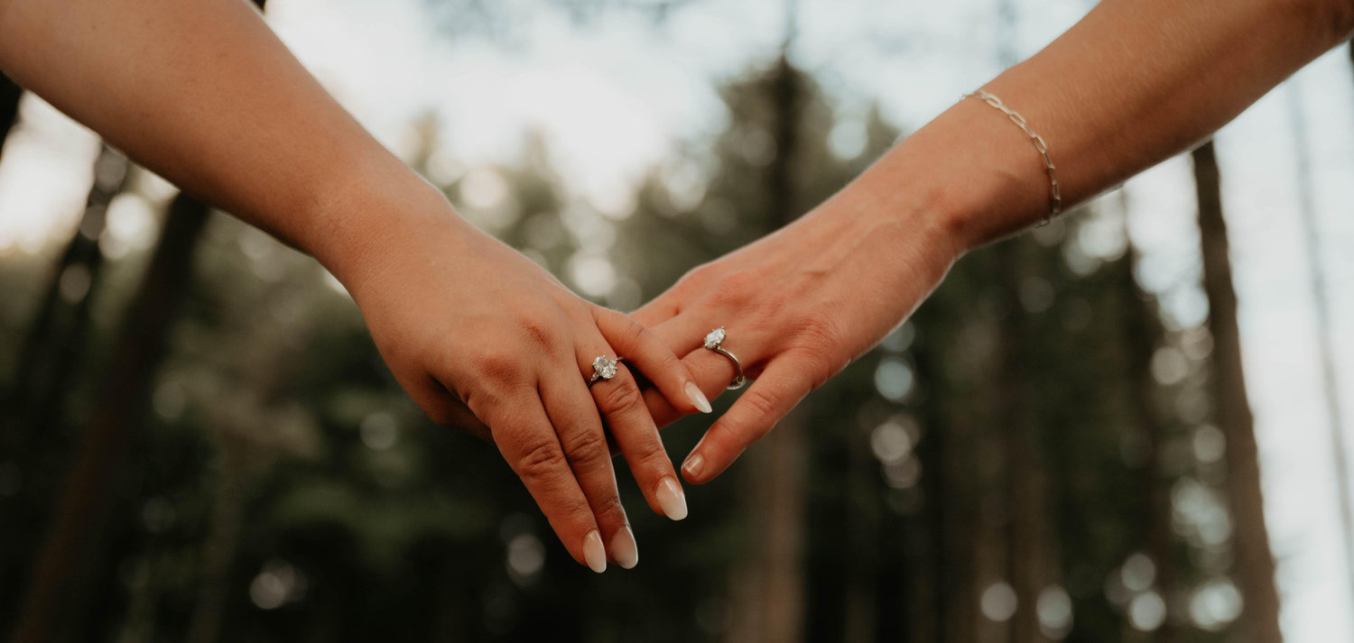 The Wedding Website of Angela Nappo and Lindsey Pleiness