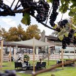 Tabor Hill Winery & Restaurant
