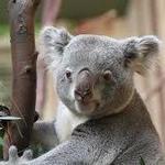 Edinburgh Zoo
