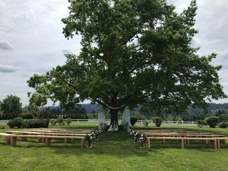 The Wedding Website of Teresa Rochester and Paul Wallace