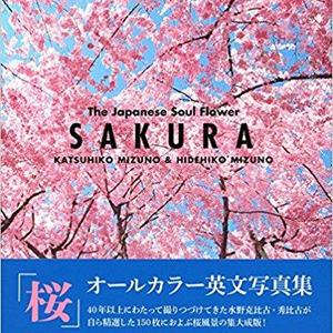 SAKURA - The Japanese Soul Flower