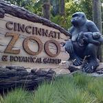 Cincinnati Zoo & Botanical Garden