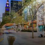Explore Downtown Denver