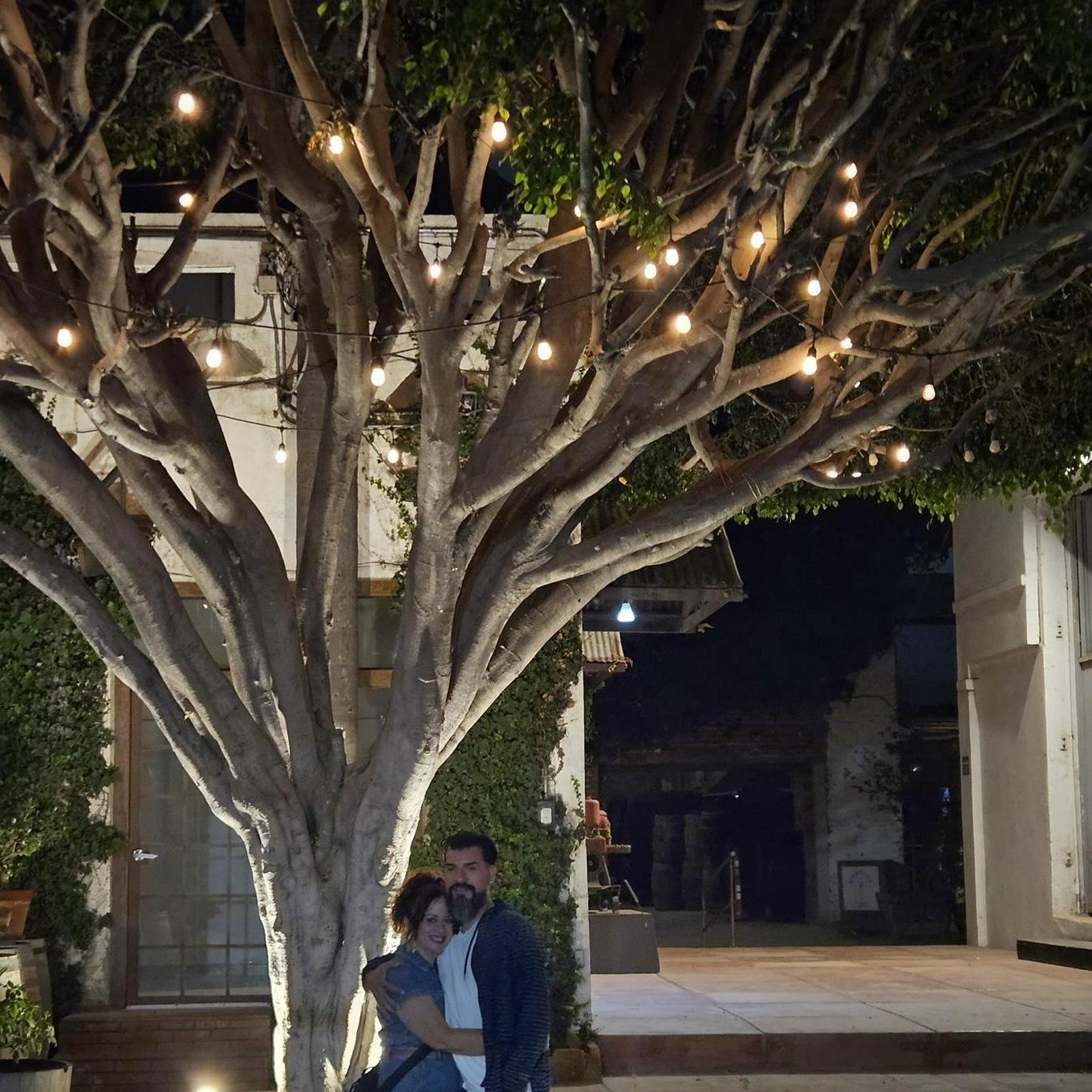 Hugging each other rather than a tree in downtown Ensenada, BC (Las Bodegas de Santo Tomas)