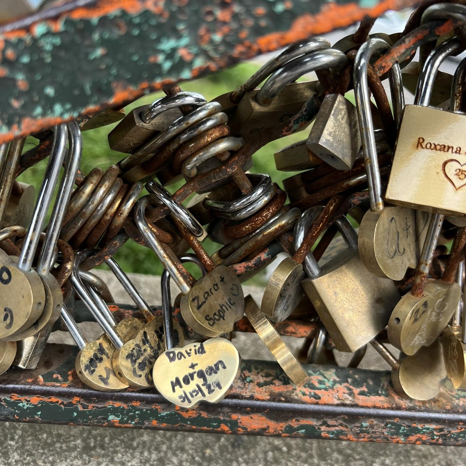 A very cheesy but very necessary lock in Paris.