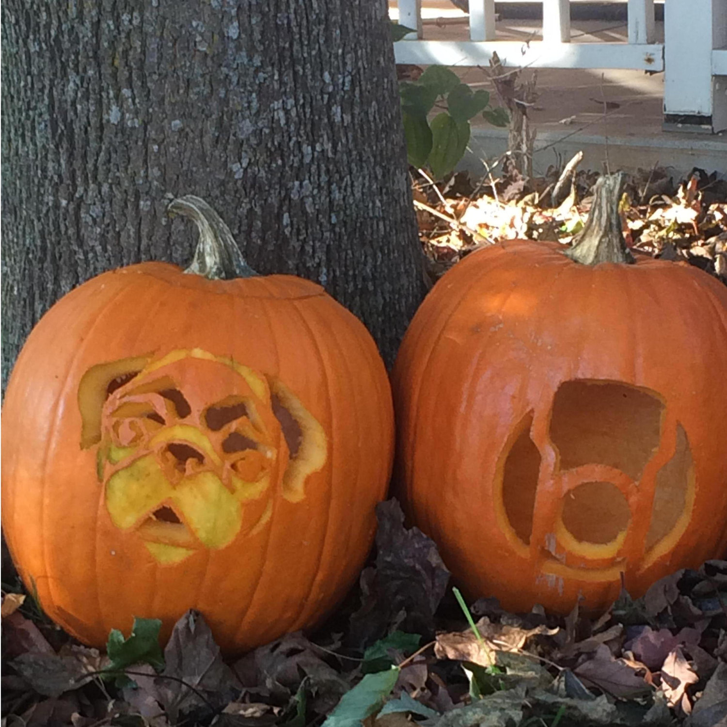 First pumpkin carving