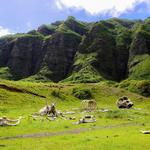 Kualoa Ranch
