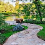 The Japanese Friendship Garden of Phoenix