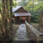 Frog Holler Cabins & Wine Tours