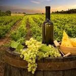 Robibero Winery