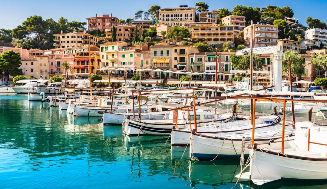 The Wedding Website of Hudson Couto e Silva and Ashton Williams