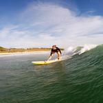 Surf