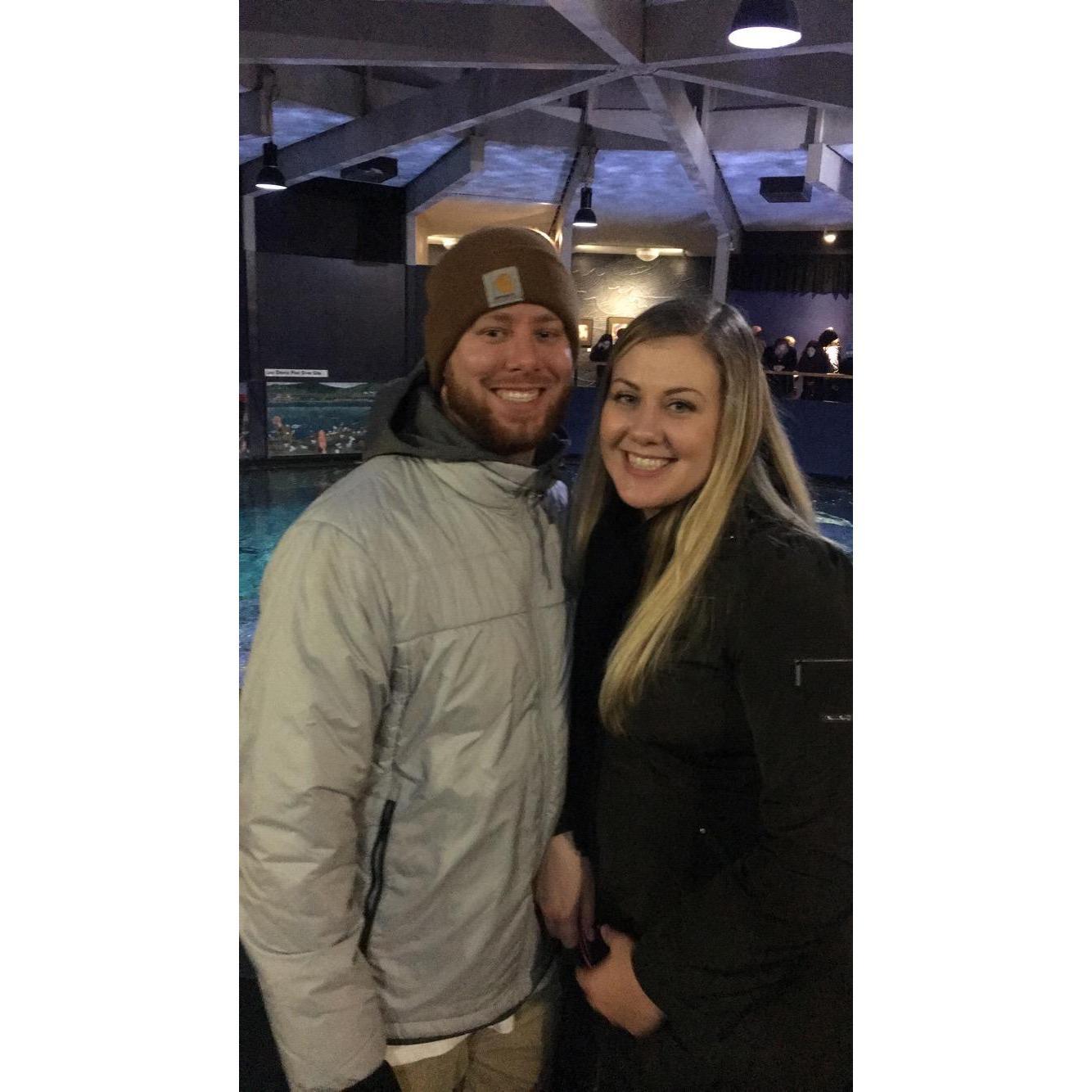 2018 Zoolights