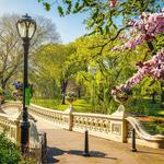 Central Park