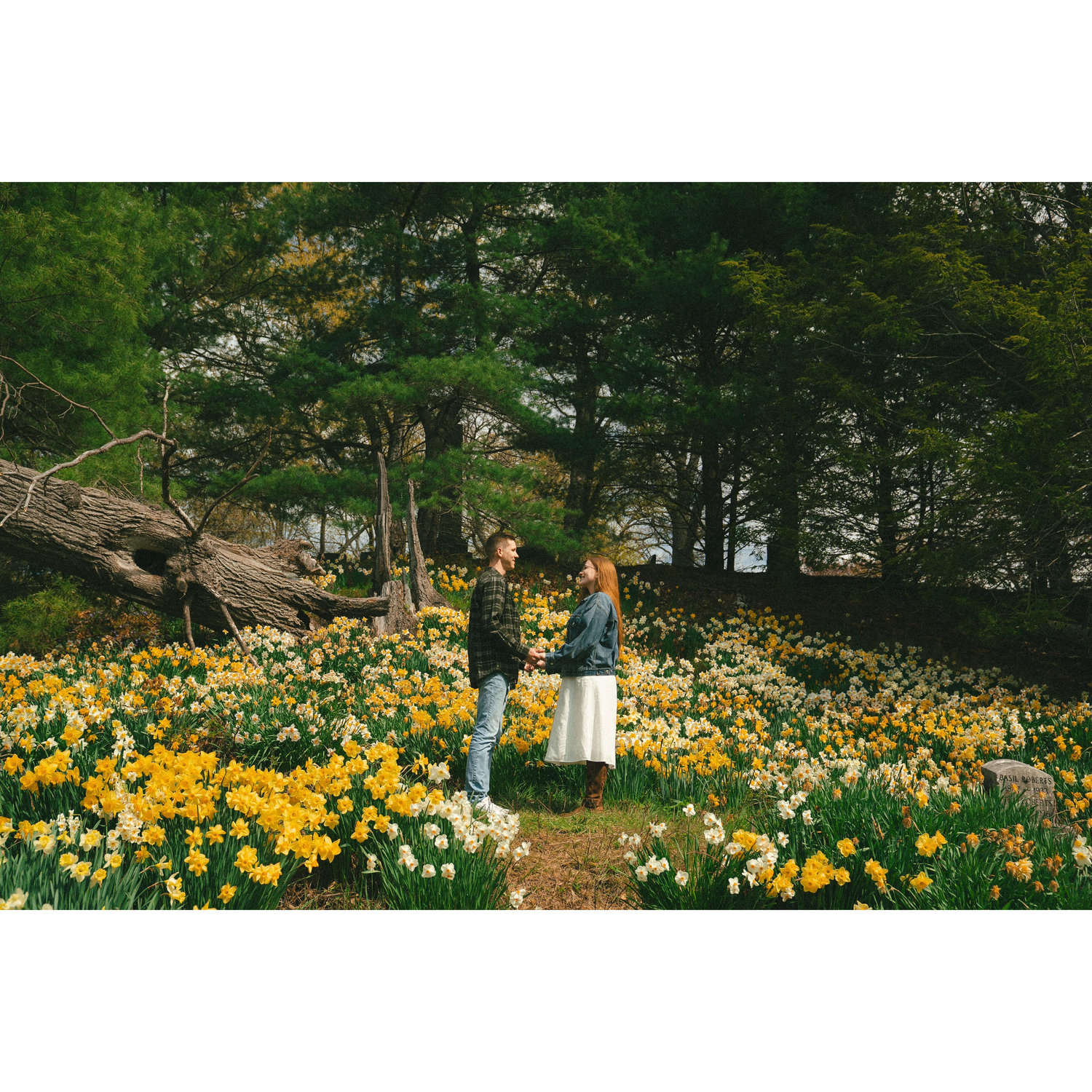 Engagement photos 2025