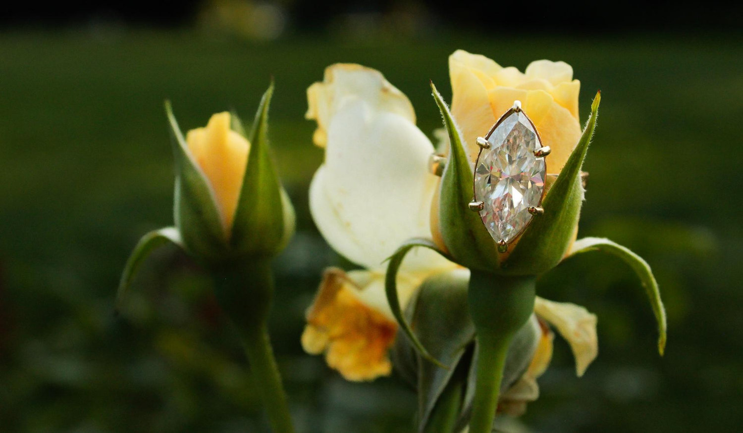 The Wedding Website of Emily Hollett and Connor Passek