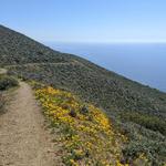 Point Mugu State Park