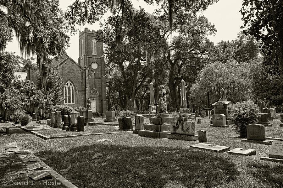 The Wedding Website of Emily Roldan and Ira Waltrip