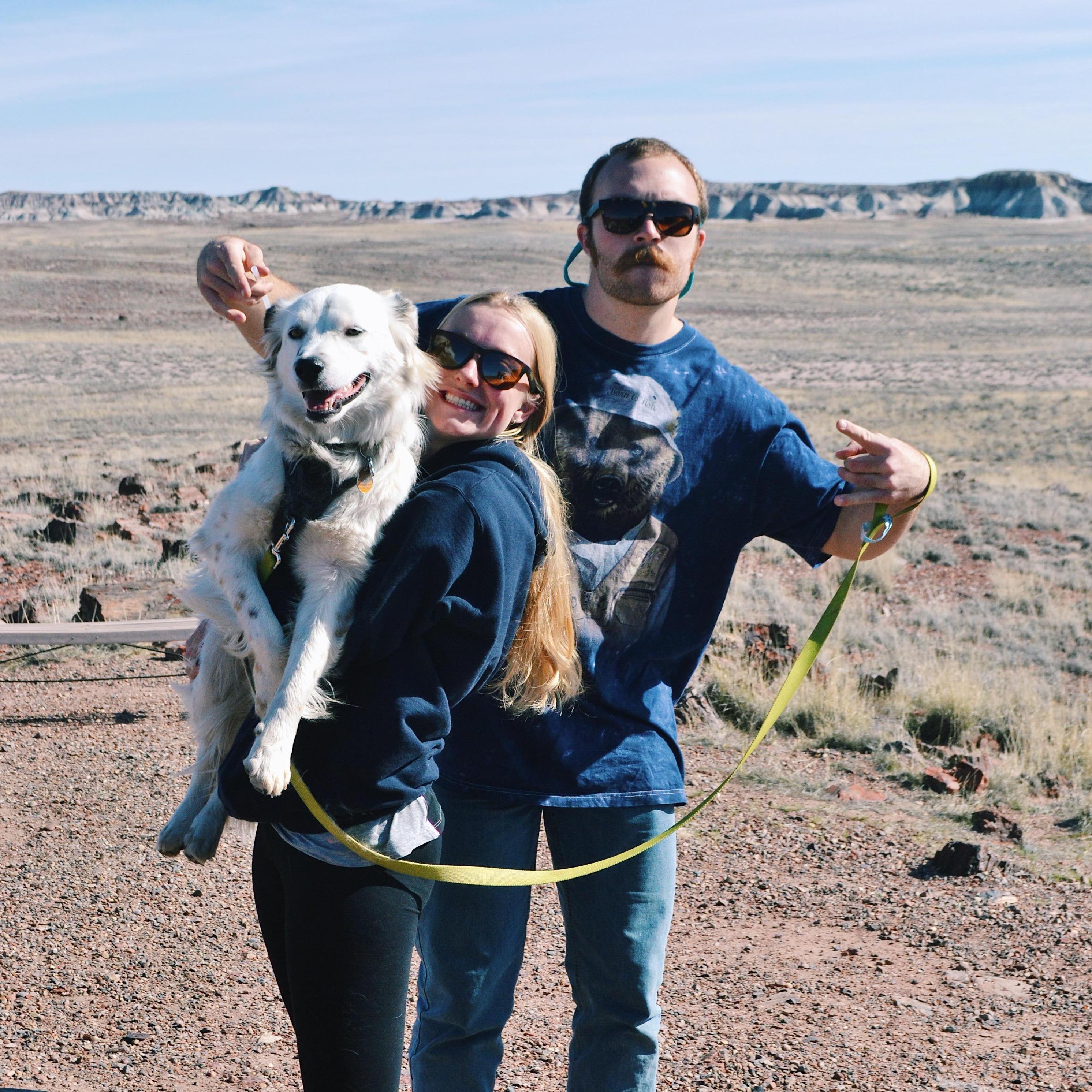 Petrified Forest National Park 2019