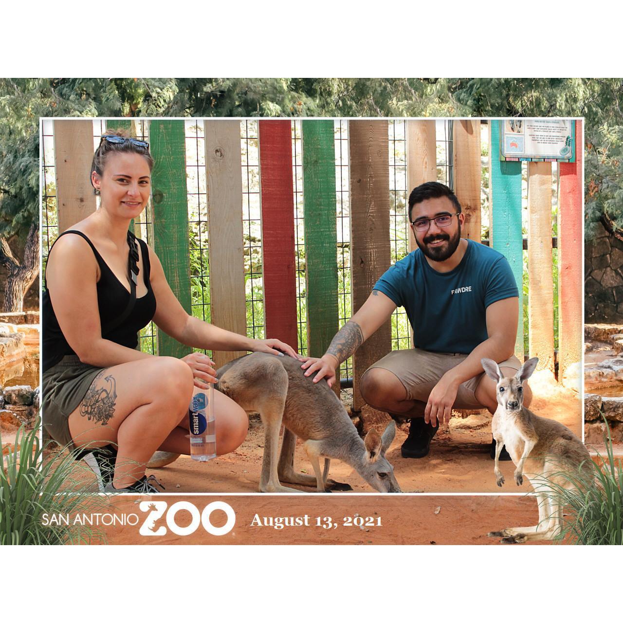 We met a Kangaroo in San Antonio