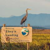 Ebey Landing