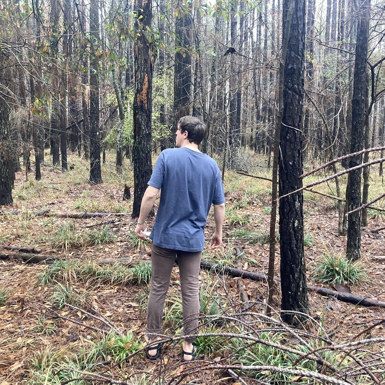 A lot of exploring our 20 acres