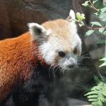 Smithsonian National Zoological Park