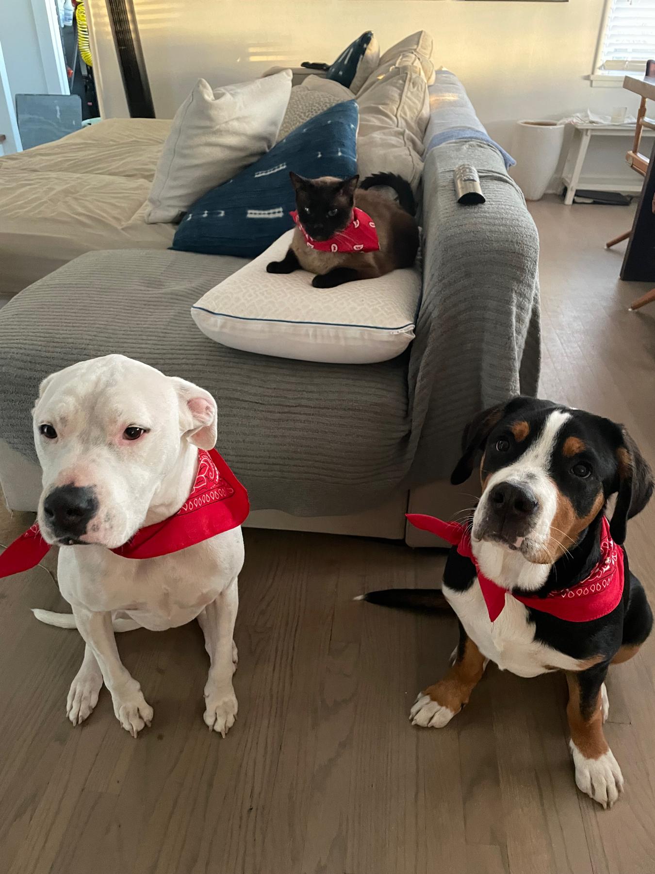 3 best friends