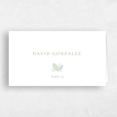 Bright Sage, Green Wedding Place Card - Bennett