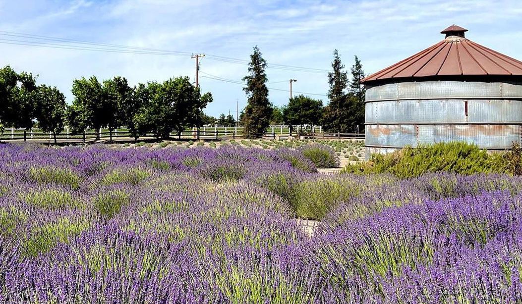 The Wedding Website of Shanelle Davalos and John Blackshear