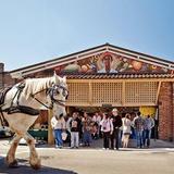 Charleston City Market