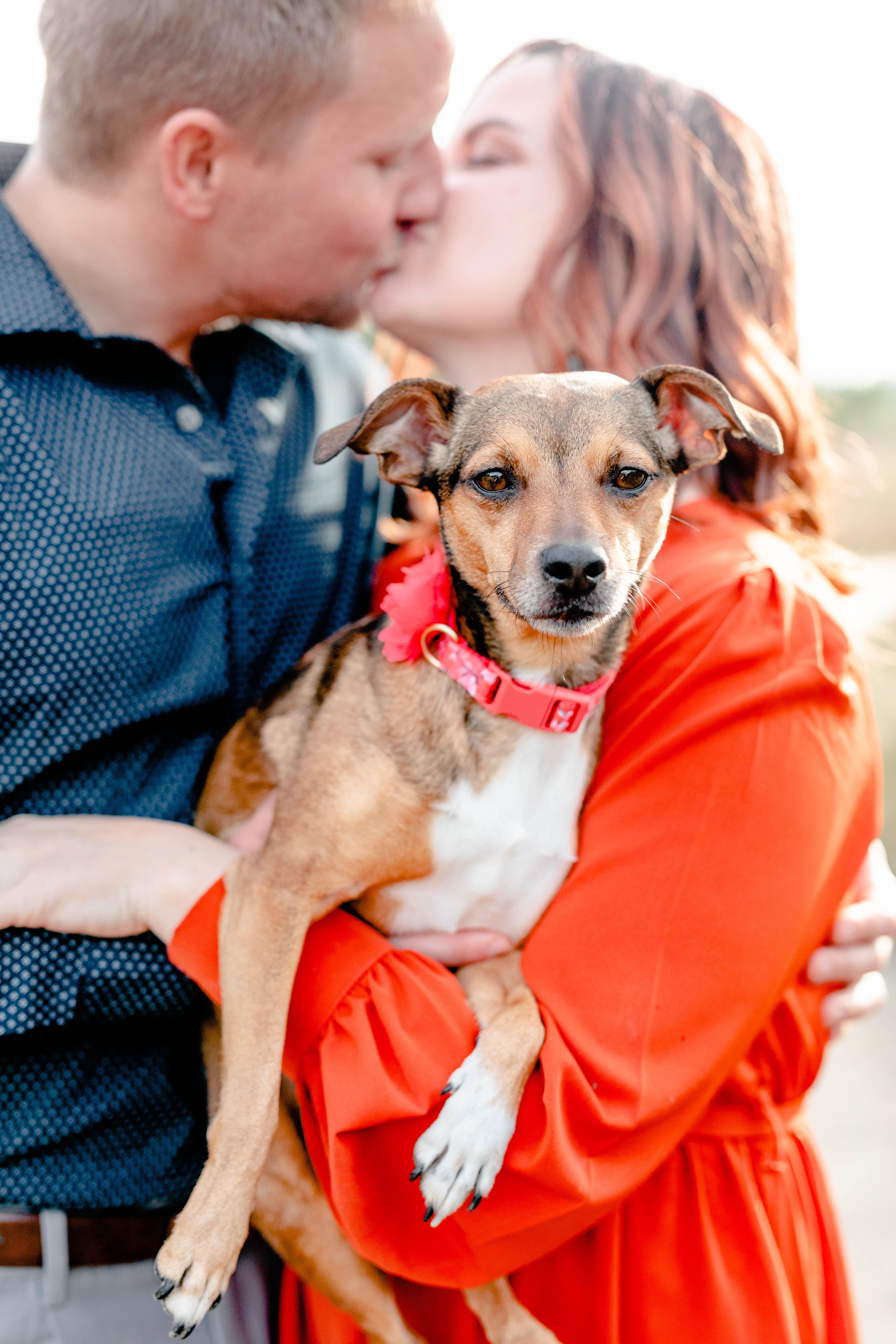 The Wedding Website of Alissa Warlick and Aaron Brandenburg