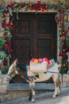 The Wedding Website of Elizabeth Cook and Alejandro Navarro Garcia