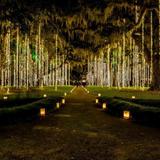 Brookgreen Gardens