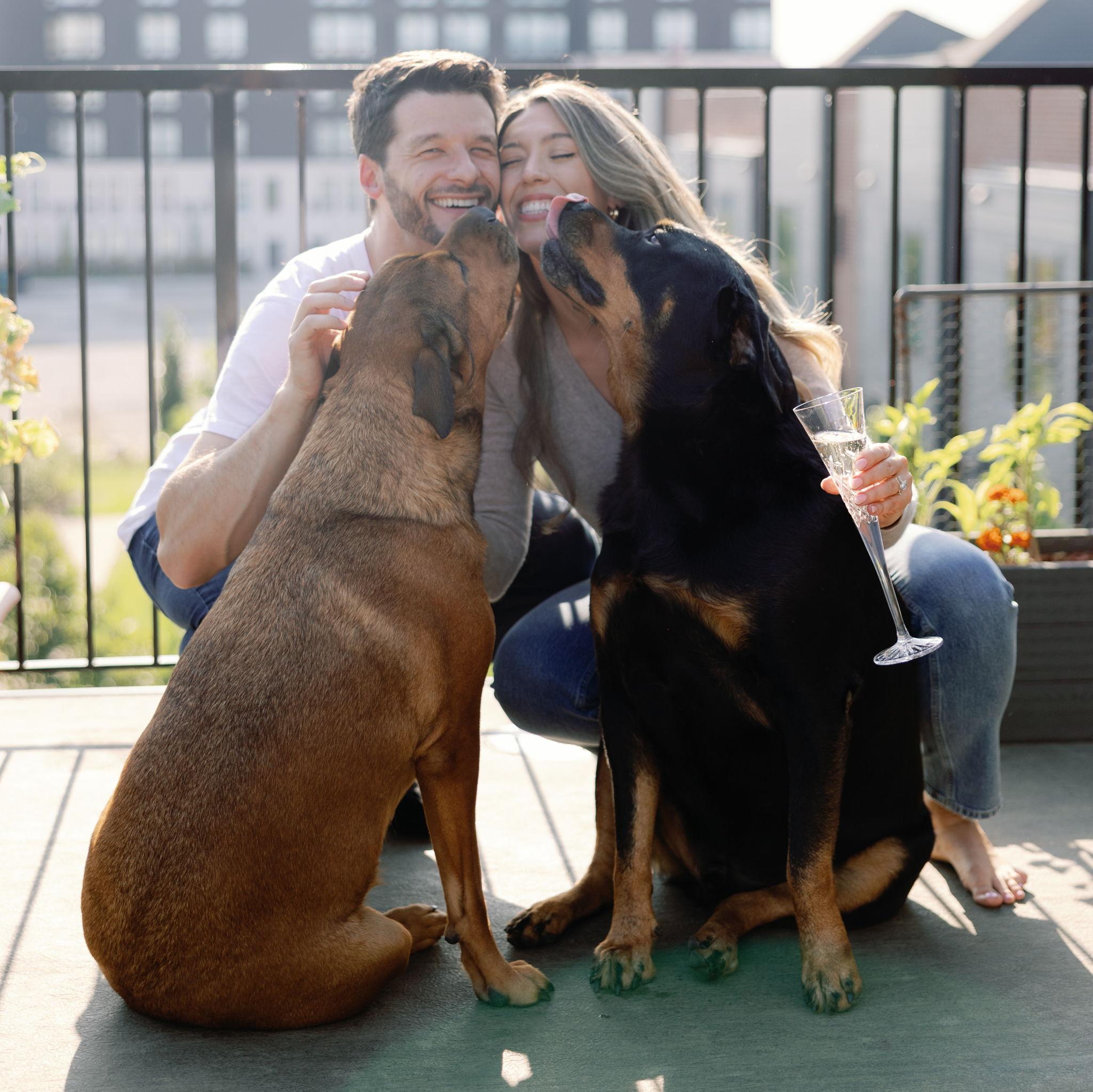 The best dogs, our babies - Nutmeg and Róc!