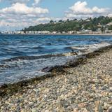 Alki Beach