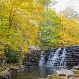 Laurel Hill State Park