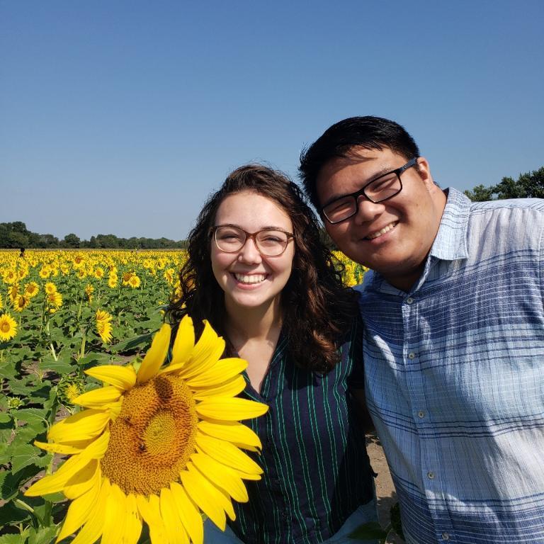 Sunflower fields in Kansas 🌻