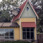 The Children's Museum