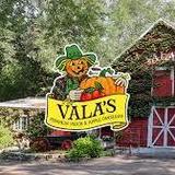 Vala's Pumpkin Patch & Apple Orchard
